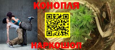 сатива Бугуруслан