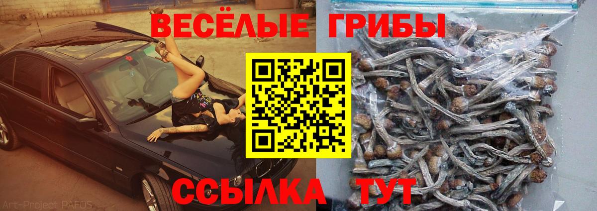 Пушкино  Галлюциногенные грибы прущие грибы  Псилоцибиновые грибы прущие грибы  наркота  Вход с VPN 